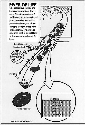 Blood: the River of Life