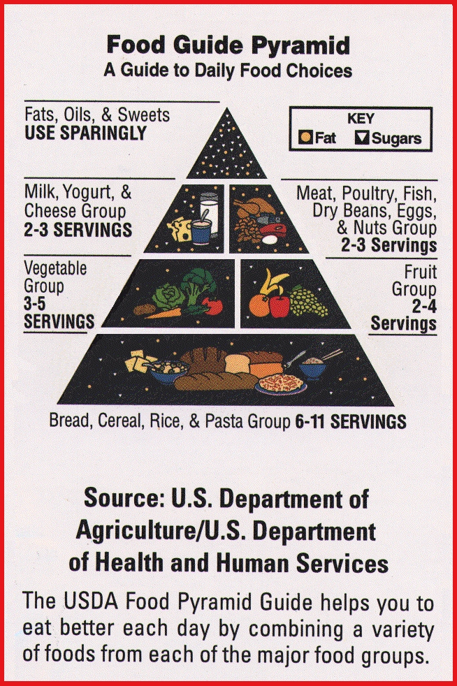 The USDA Food Pyramid